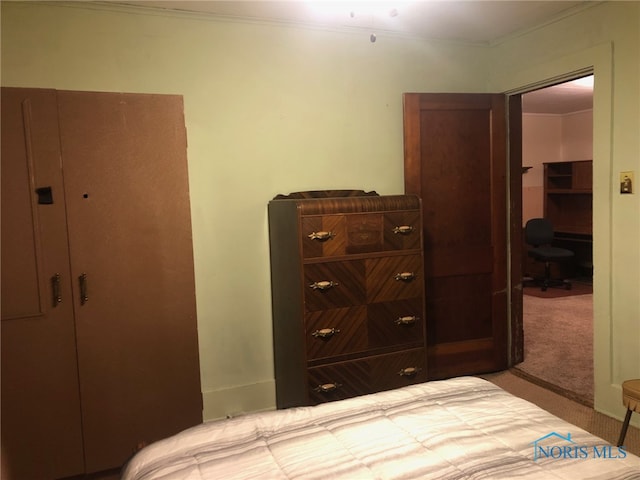 carpeted bedroom featuring a closet