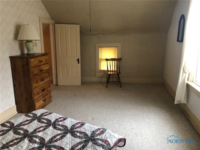 bedroom featuring vaulted ceiling