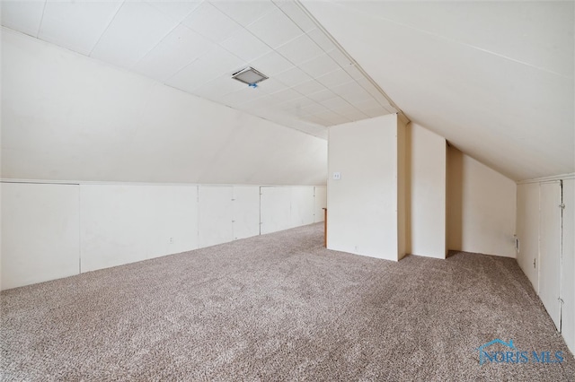 additional living space featuring carpet flooring and lofted ceiling