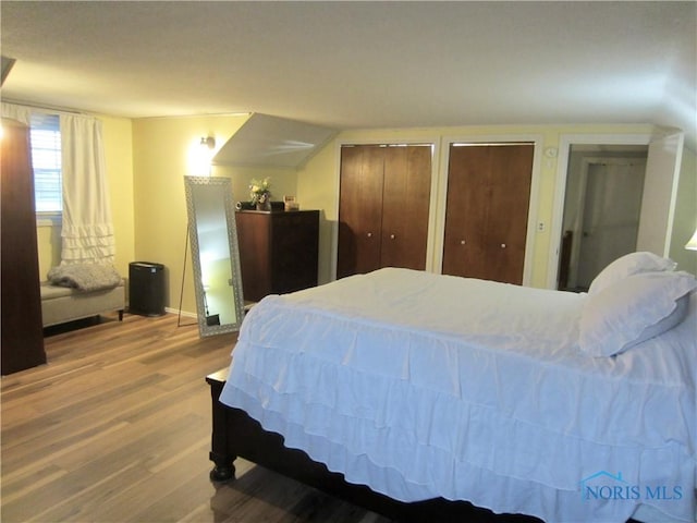 bedroom featuring multiple closets and hardwood / wood-style floors