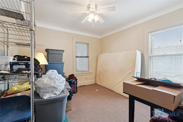 carpeted office space with ceiling fan and crown molding