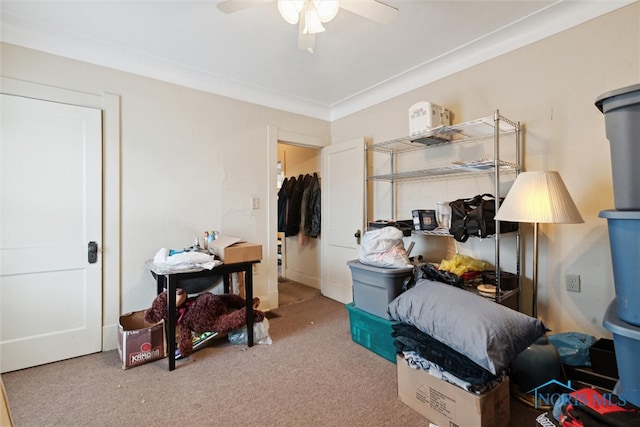 bedroom with ceiling fan, carpet floors, and a closet