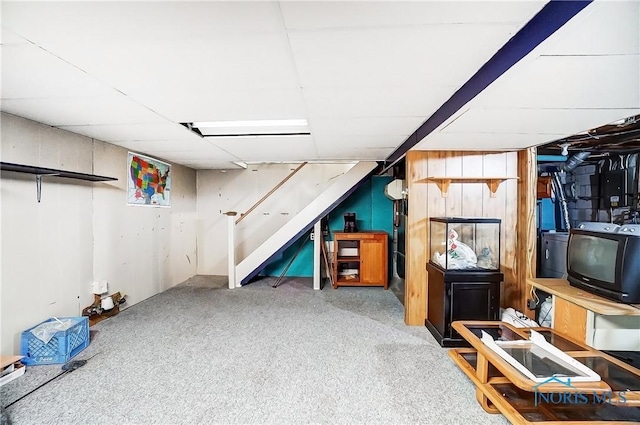 basement with carpet floors