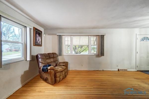 sitting room featuring light hardwood / wood-style floors and plenty of natural light