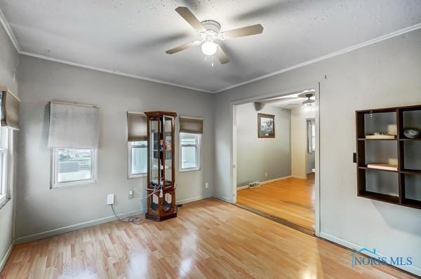 empty room featuring crown molding, ceiling fan, and light wood-type flooring