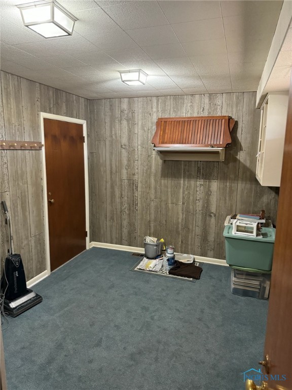 misc room featuring wood walls and carpet