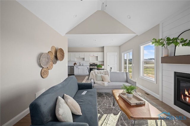 living room featuring vaulted ceiling and dark wood-type flooring