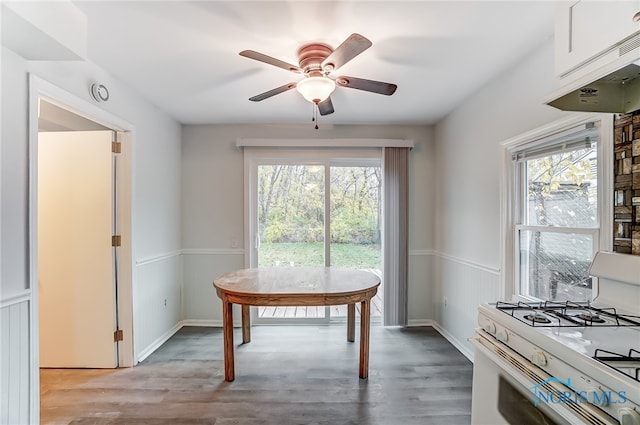 dining area with ceiling fan and light wood-type flooring