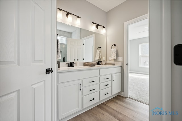 3343 Moonlit Pass, Monclova, OH 43542 - bathroom with vanity and hardwood / wood-style flooring