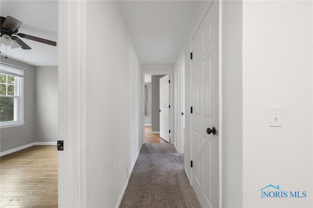 hallway featuring wood-type flooring