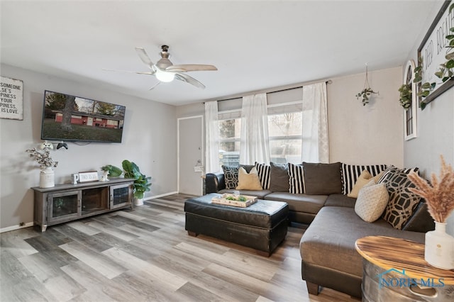 living room with ceiling fan and wood-type flooring