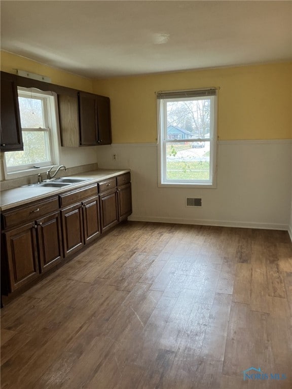 kitchen featuring sink, a healthy amount of sunlight, dark brown cabinets, and light hardwood / wood-style floors