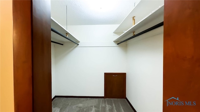 spacious closet with dark colored carpet