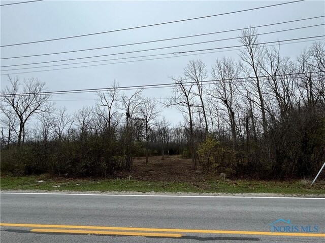 9966 Roachton Rd, Perrysburg, OH 43551 - photo 5