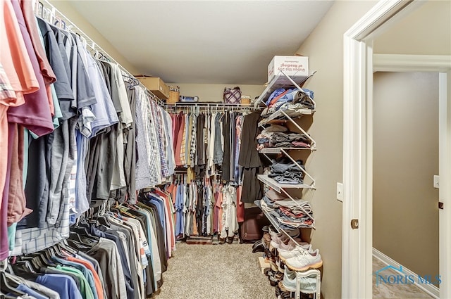 spacious closet featuring light colored carpet