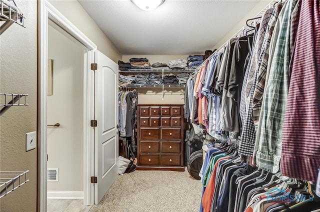 spacious closet with light carpet