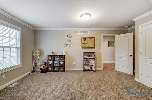 misc room with carpet floors and crown molding