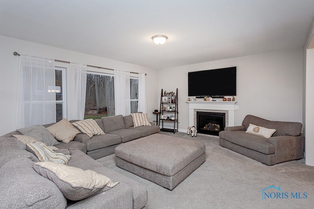 living room with carpet floors