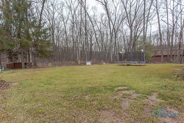 view of yard featuring a trampoline