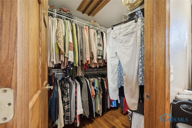 walk in closet featuring wood-type flooring