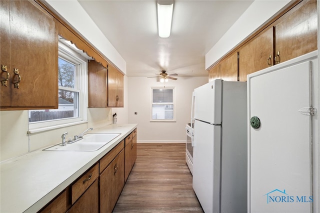 kitchen with ceiling fan, sink, dark hardwood / wood-style floors, white refrigerator, and range