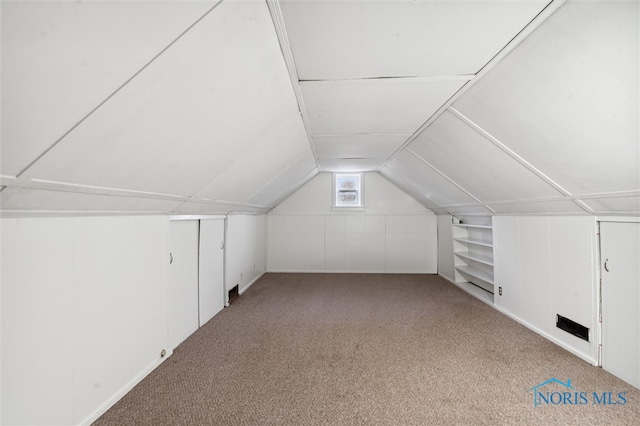 additional living space featuring light carpet and vaulted ceiling