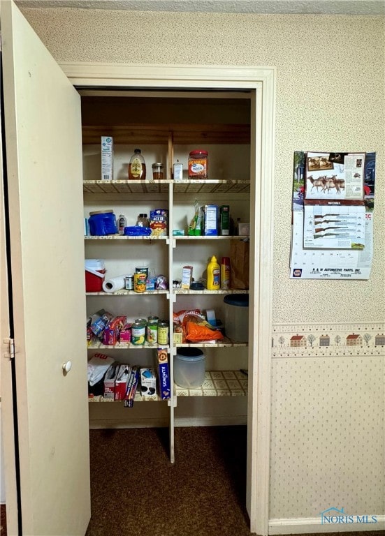 view of pantry