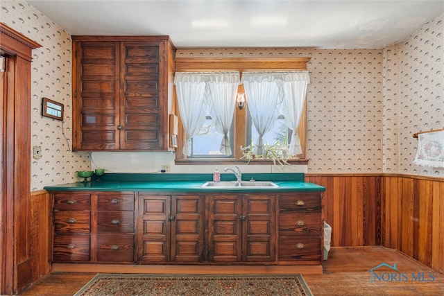 interior space with dark hardwood / wood-style flooring, wooden walls, and sink