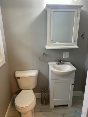 bathroom featuring vanity, wood-type flooring, and toilet