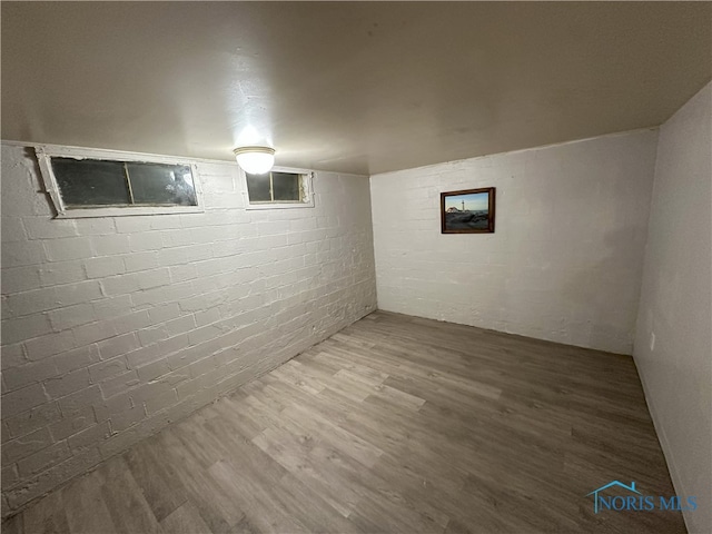 basement with hardwood / wood-style floors