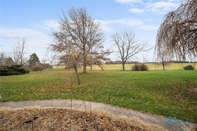 view of yard with a rural view