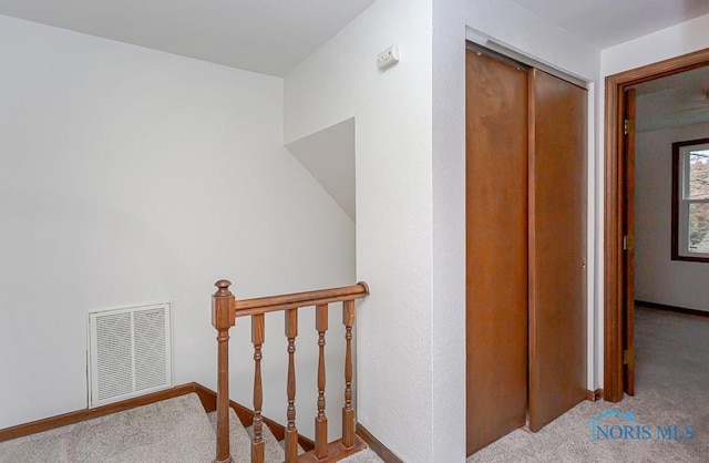 staircase featuring carpet floors