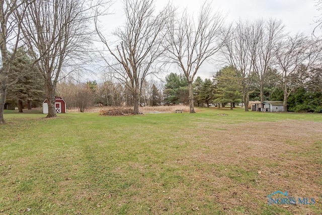 view of yard with a shed