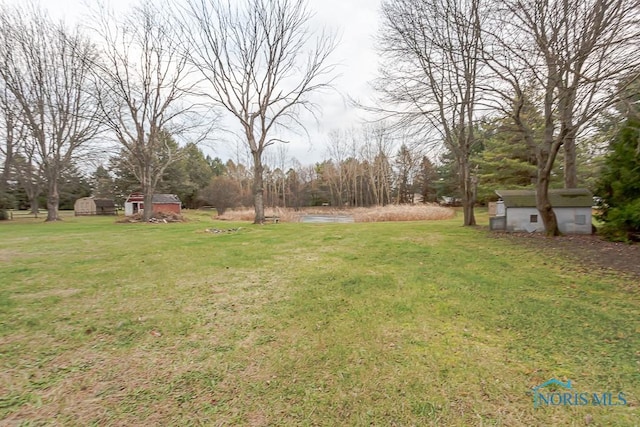 view of yard with a shed