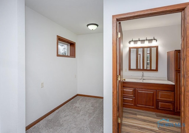 bathroom with hardwood / wood-style floors and vanity