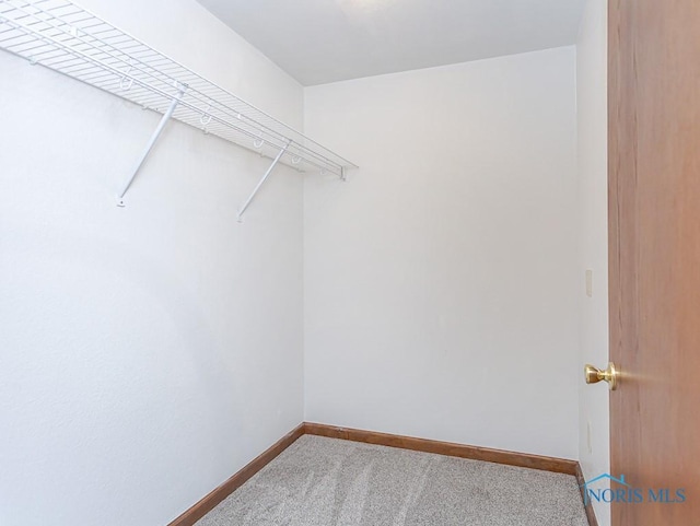 spacious closet with carpet flooring