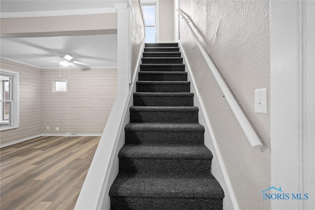 stairs featuring hardwood / wood-style floors, a wealth of natural light, wooden walls, and ceiling fan