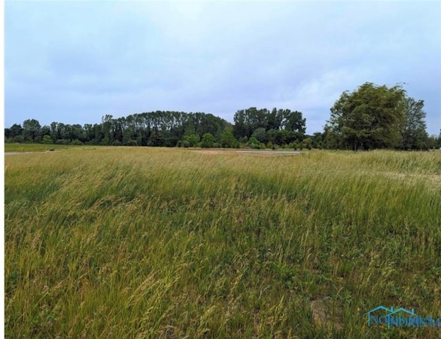 Listing photo 3 for 0LOT35 Savannah Lake Blvd, Whitehouse OH 43571