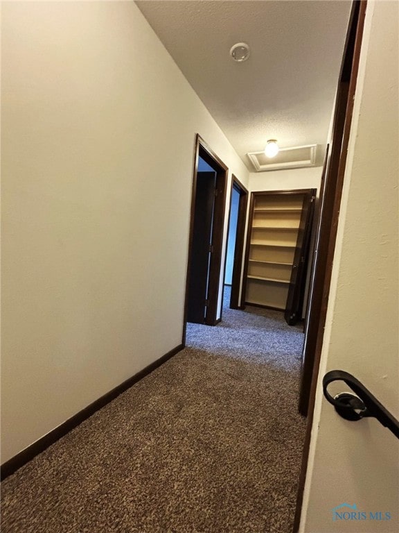 hallway with carpet