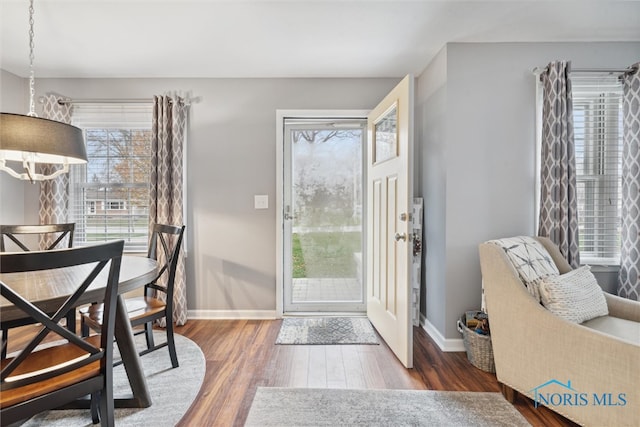 entrance foyer featuring dark hardwood / wood-style flooring