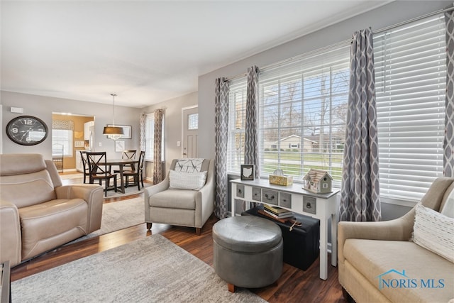 living room with dark hardwood / wood-style floors