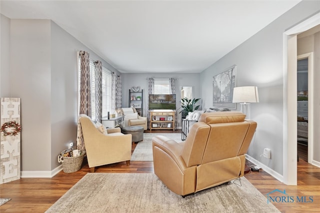 living room featuring wood-type flooring