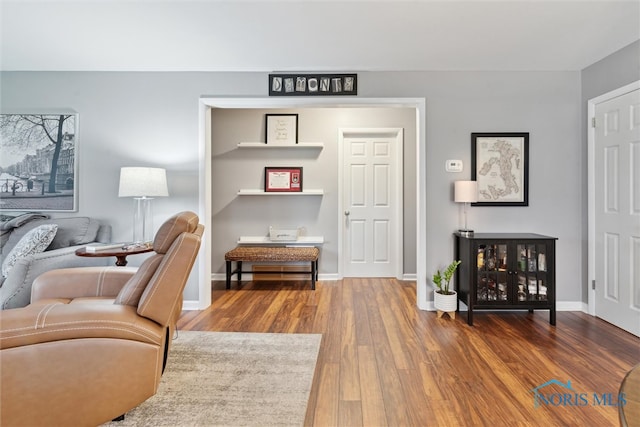 living room with hardwood / wood-style flooring