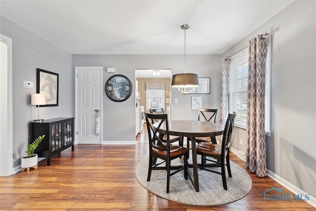 dining room featuring wood-type flooring