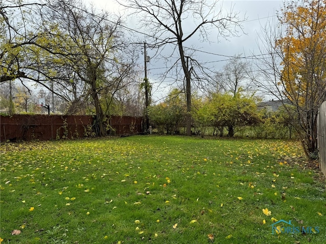 view of yard