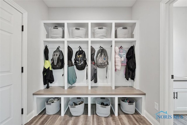 mudroom with wood-type flooring