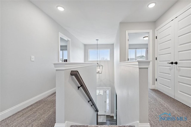 staircase featuring carpet