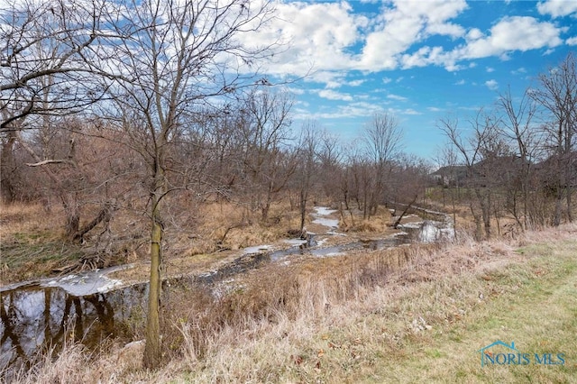 view of local wilderness