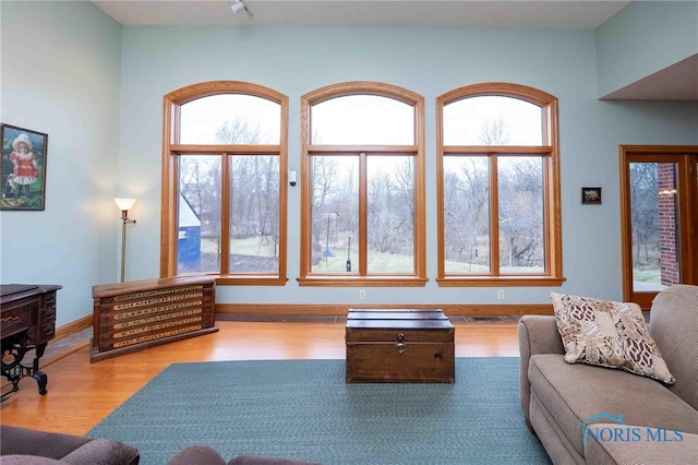 living room with plenty of natural light and light wood-type flooring