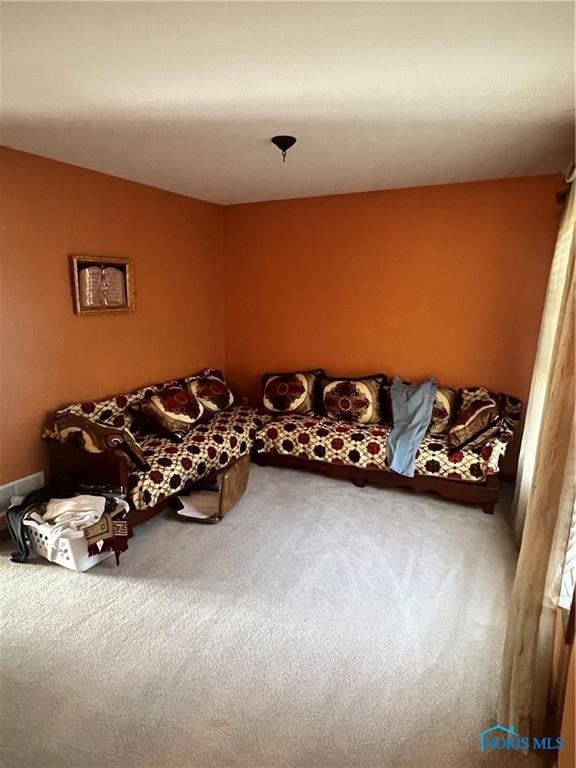 living room with carpet floors